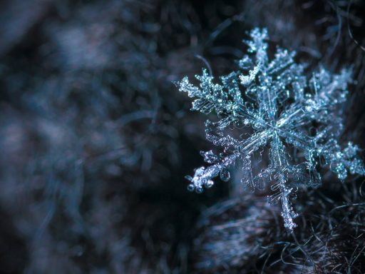 Close-up Photography of Snowflake