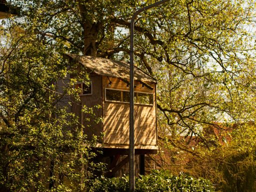 brown wooden house in the middle of green trees