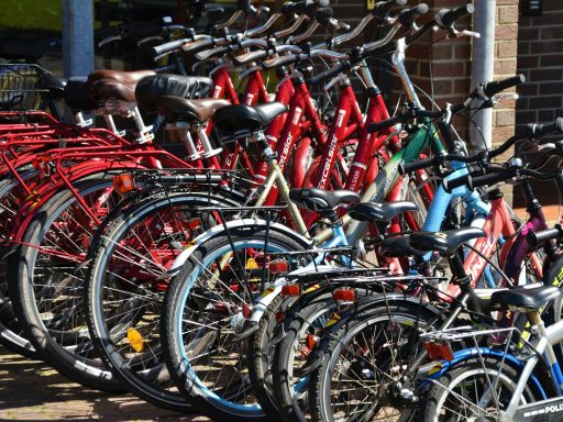 lined red, blue, and black bicycles on display